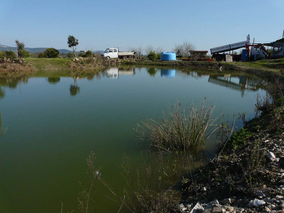 Lago artificiale da naturalizzare in piena Maremma!